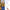 Christmas Lights Curtain Garland Merry Christmas Decor for Home 2025 Xmas Ornament Navidad Gifts Fairy Lights Festoon New Year