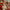 20pcs Christmas wooden ornaments, Christmas tree party atmosphere decoration, house courtyard garden decoration ornaments