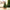 20cm-60cm Mini Christmas Trees Green With Linen Base Perfect Desktop Ornaments Store Window Displays Christmas Add Festive Touch