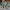 3/15/30pcs Mini Christmas Trees, Trees with Wooden Base for Christmas Decor Christmas Party Home Table Craft Decorations