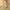 1 Roll 10m Large Size Christmas Theme Gift Wrapping Paper Plant Leaves Flowers Decoration Kraft Paper DIY Gift Packaging Supplies