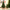 20cm-60cm Mini Christmas Trees Green With Linen Base Perfect Desktop Ornaments Store Window Displays Christmas Add Festive Touch