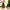 20cm-60cm Mini Christmas Trees Green With Linen Base Perfect Desktop Ornaments Store Window Displays Christmas Add Festive Touch