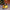 Christmas Decorations LED Night Lights Luminous Landscape House Children's Gift Christmas New Year Ornaments Festival Lighting
