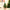 20cm-60cm Mini Christmas Trees Green With Linen Base Perfect Desktop Ornaments Store Window Displays Christmas Add Festive Touch