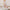 Wooden Christmas Tree Decorations Christmas Ornaments Home Desktop Party Christmas Decor Christmas New Year Children's Gifts